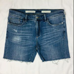 Pilcro and the Letterpress Slim Boyfriend Shorts